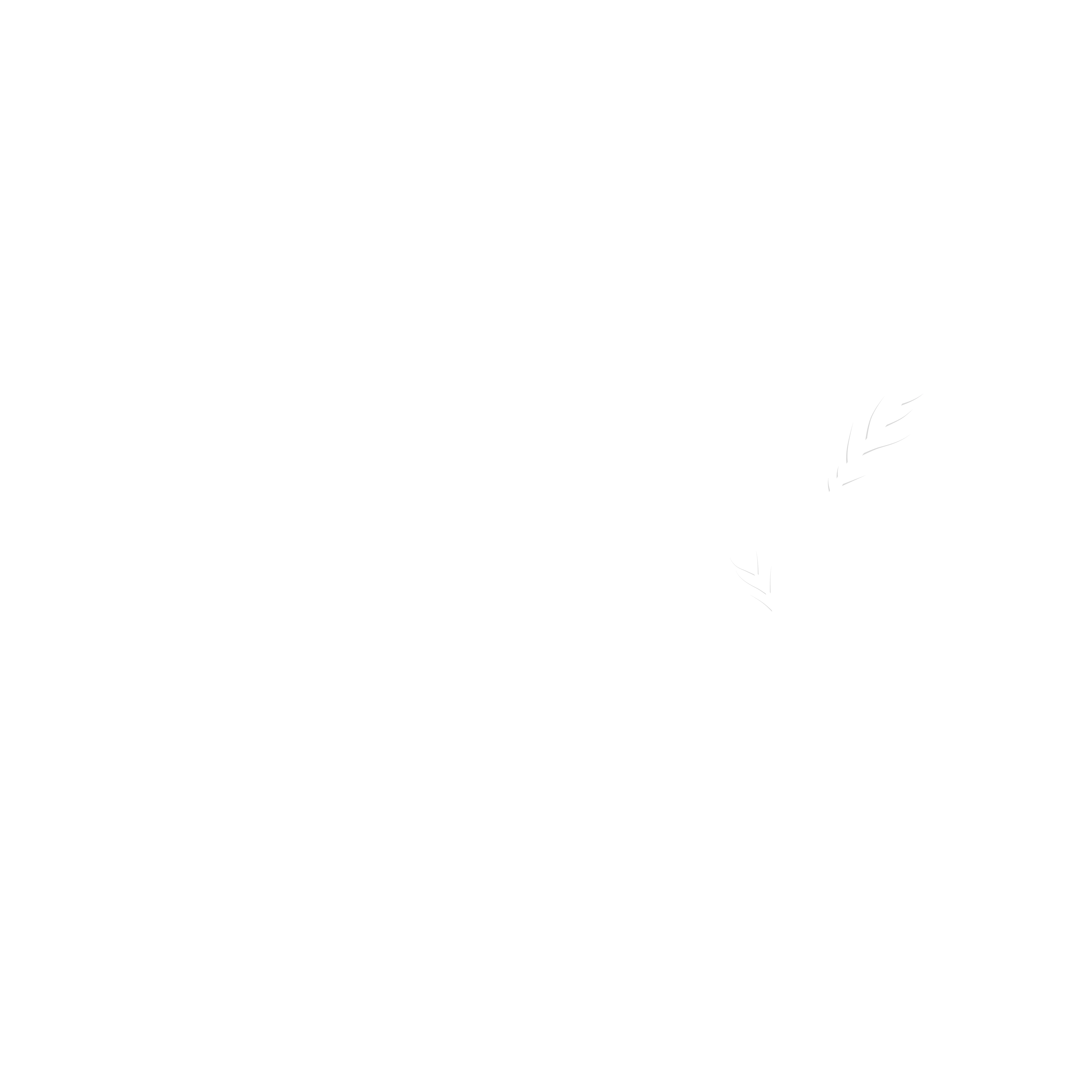Precision Vitality